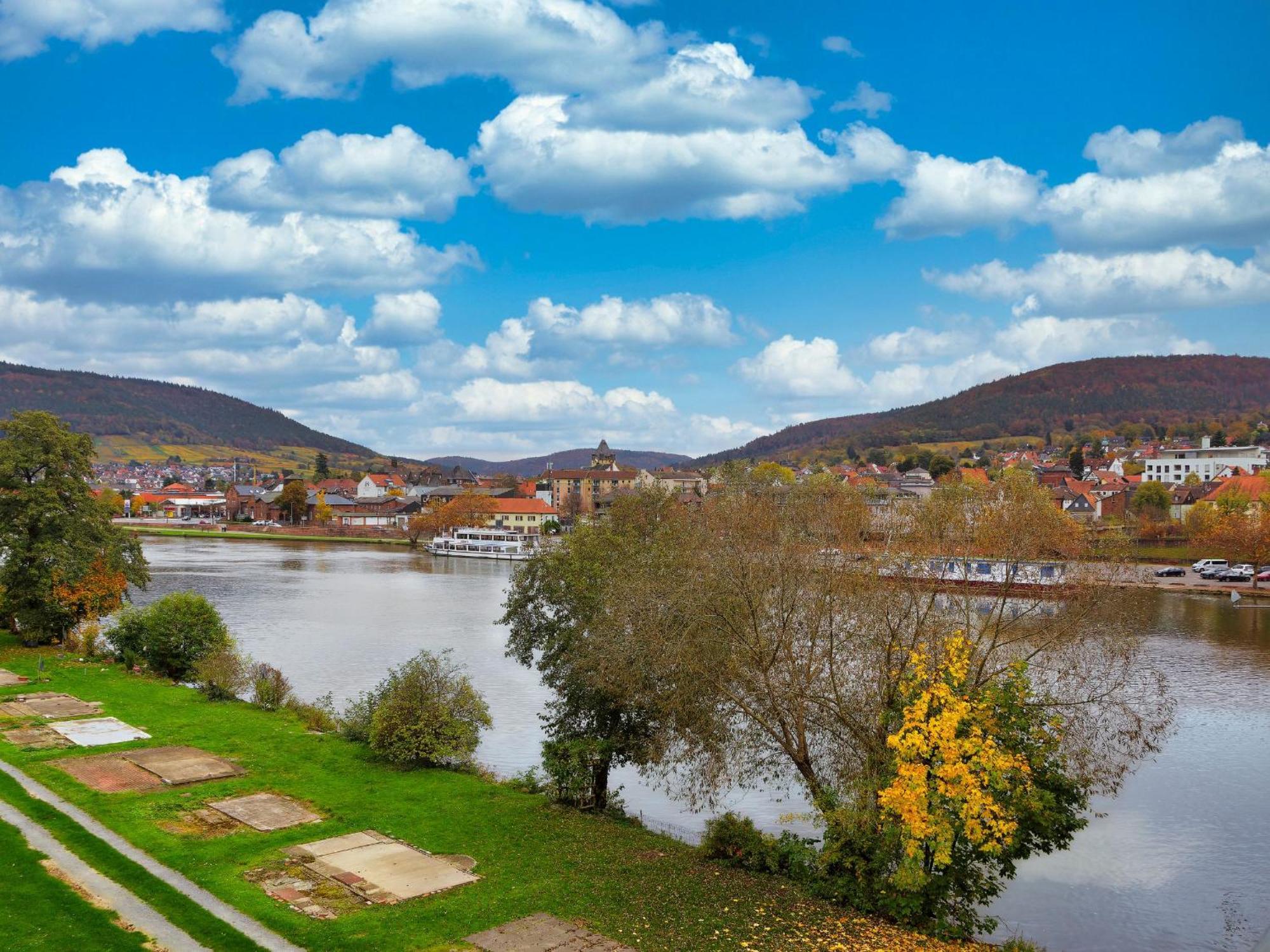 Mainzauber Apartments Miltenberg Dış mekan fotoğraf